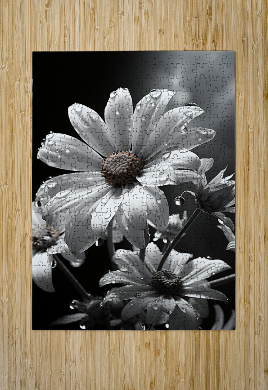 Bloomed Affinity – Monochrome Daisy Duo Art Print Savage Art Prints Puzzle printing