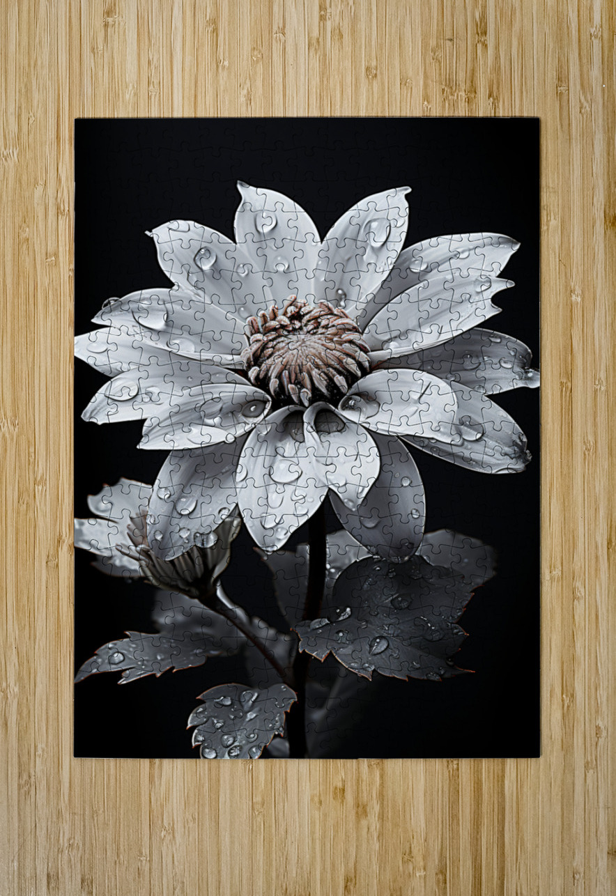 Petal Portrait – Reflective Floral Art Print Savage Art Prints Puzzle printing