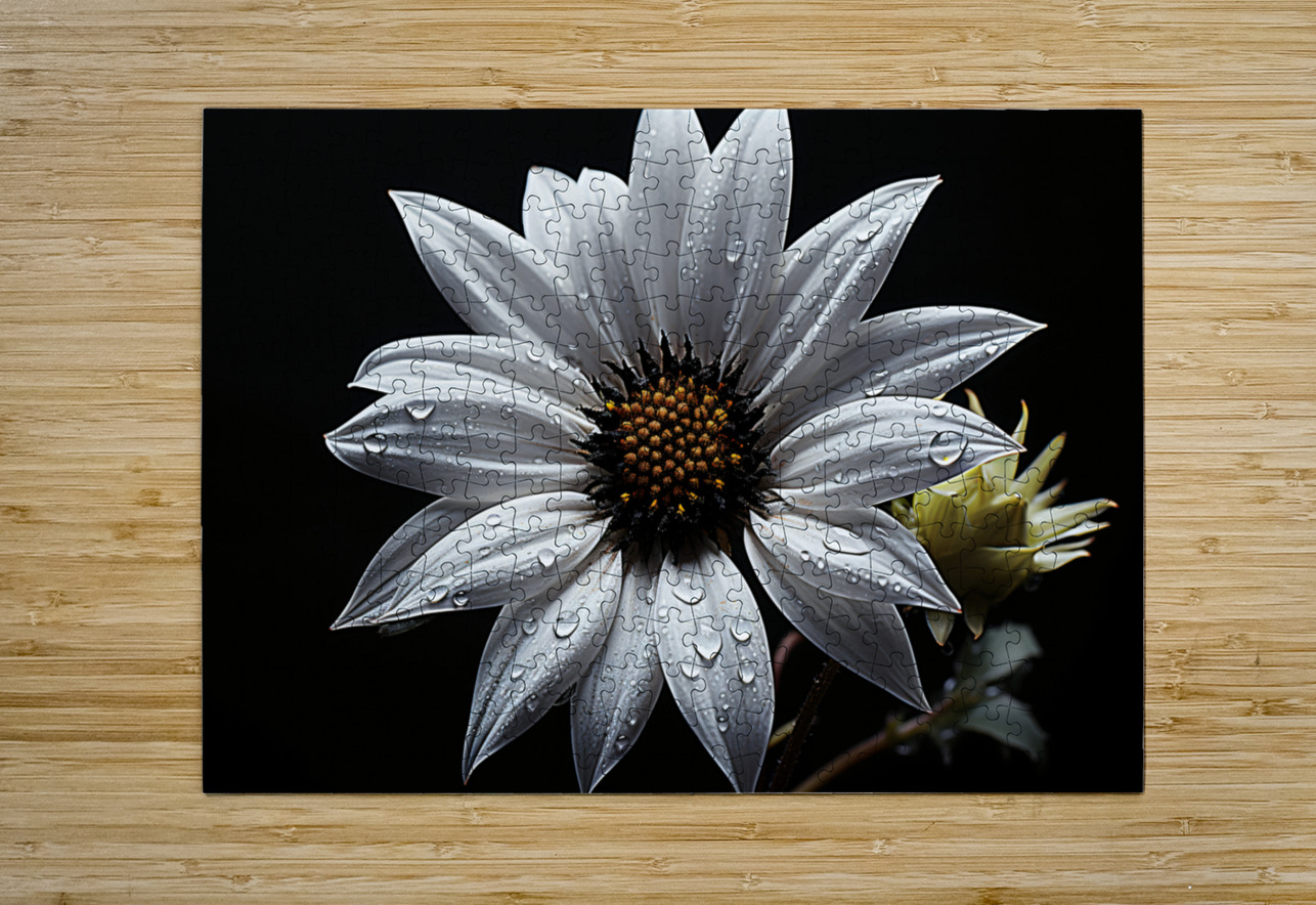 Majestic Macro – Monochrome Sunflower Close-Up Art Print Savage Art Prints Puzzle printing