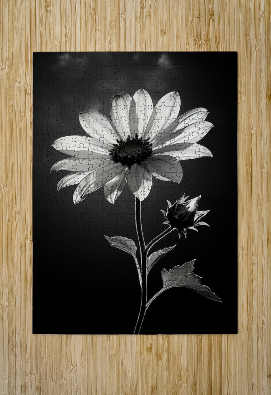 The Grace of Golden Hours – Monochrome Floral Art Print Savage Art Prints Puzzle printing