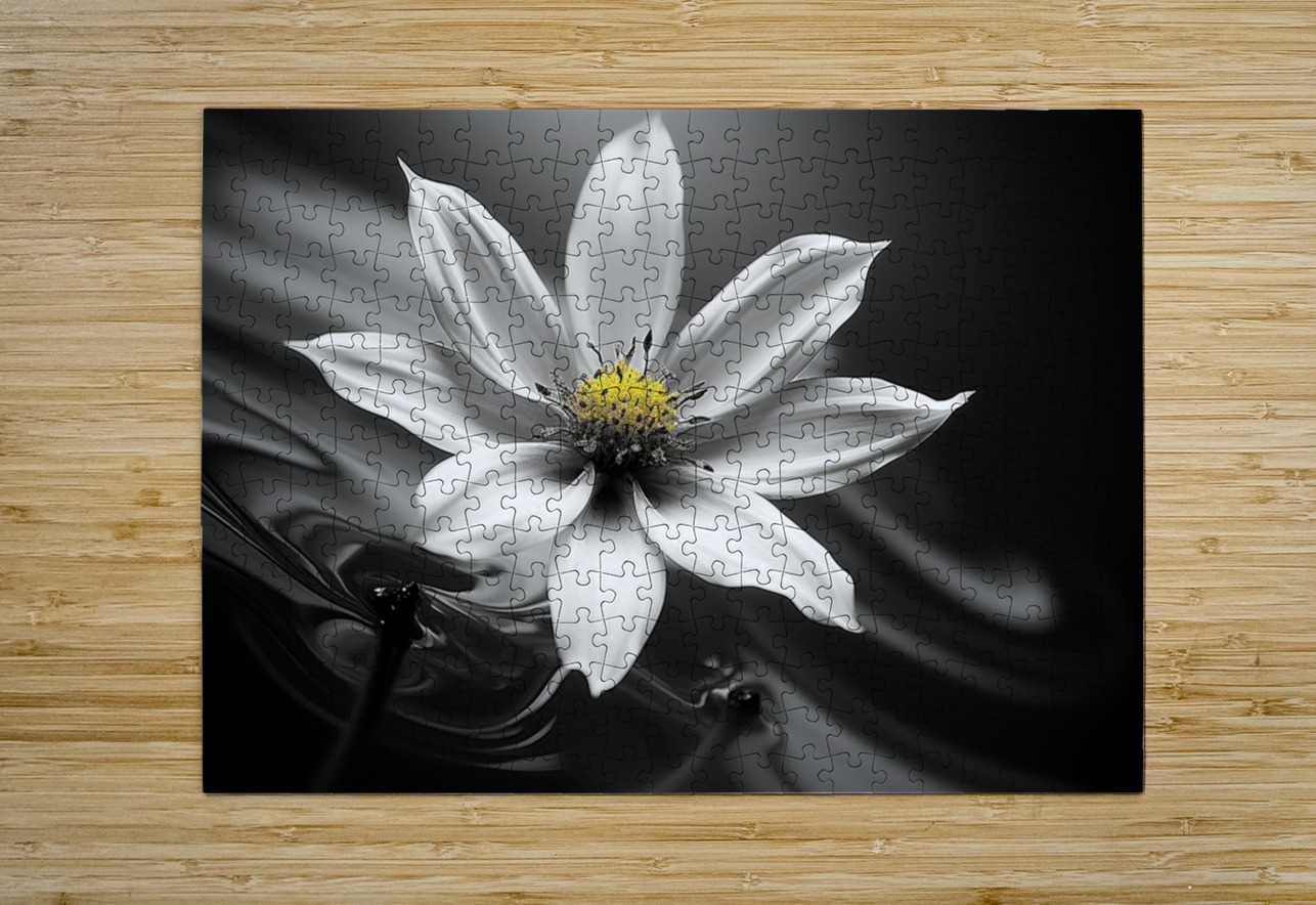 Eclipsed in Bloom – Monochrome Floral Art Print Savage Art Prints Puzzle printing