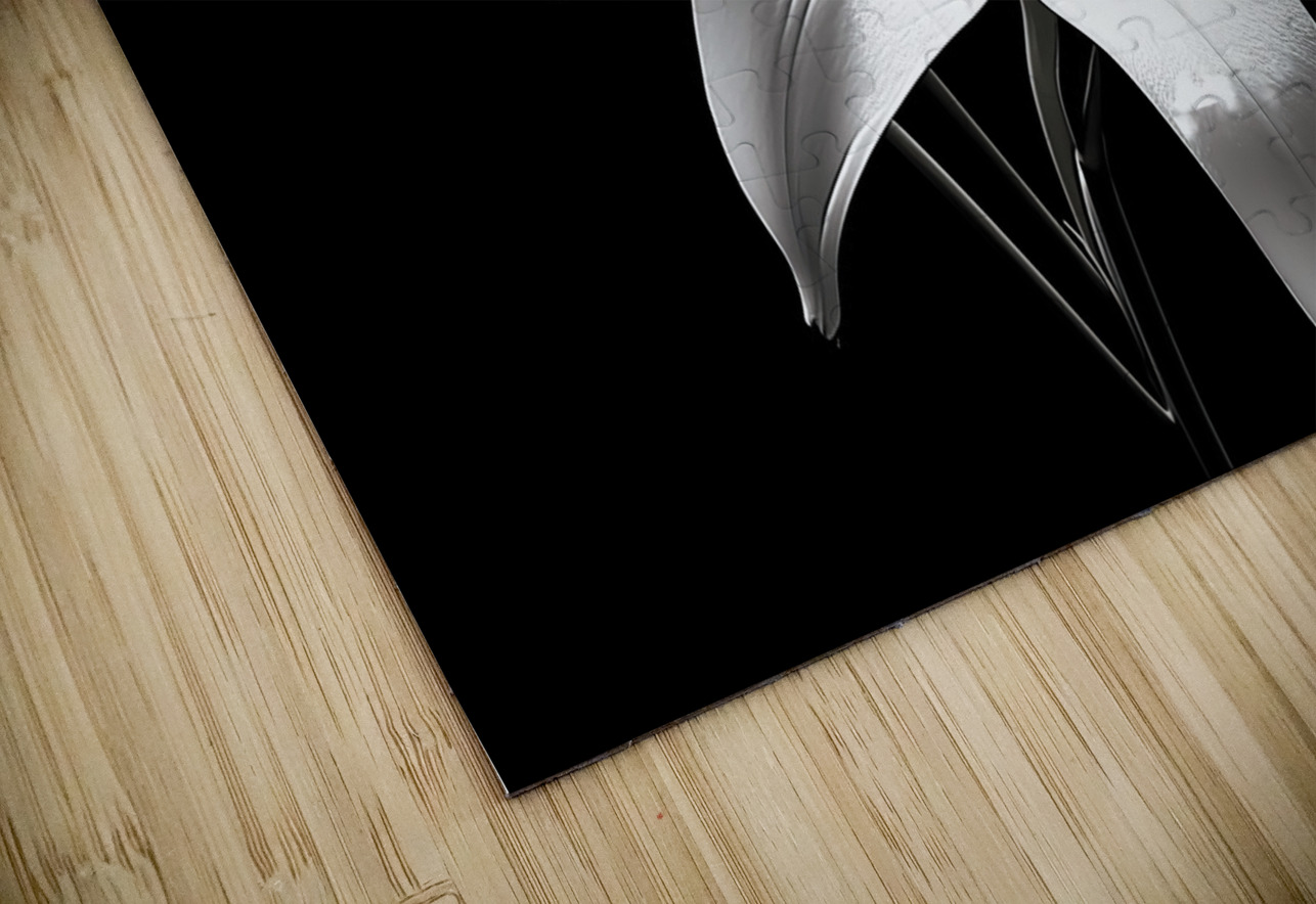 Lily Of The Light - Monochrome Lily Floral Art Prints Savage Art Prints Puzzle