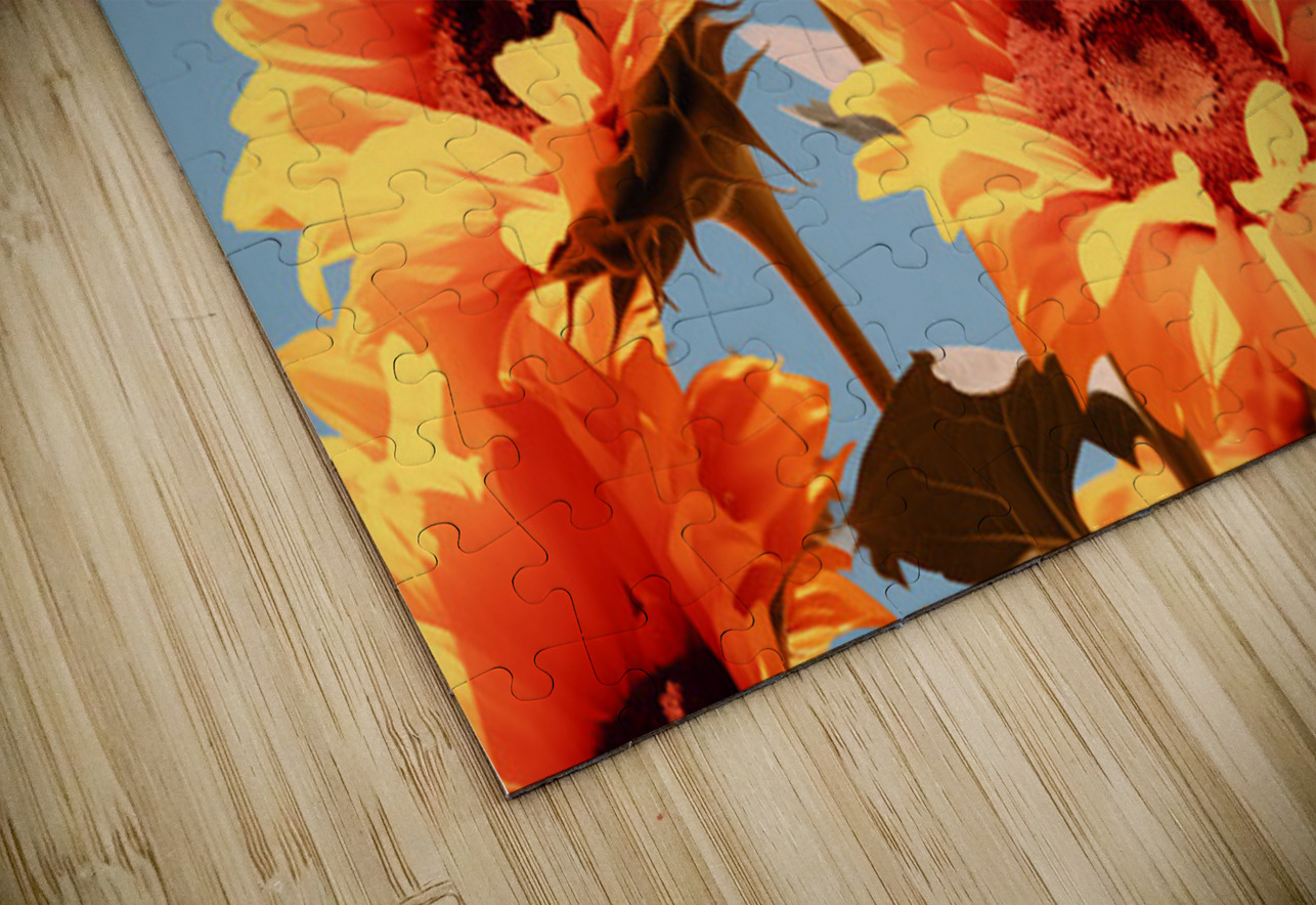 Golden Giants - Sunflower Portrait Art Prints Savage Art Prints Puzzle