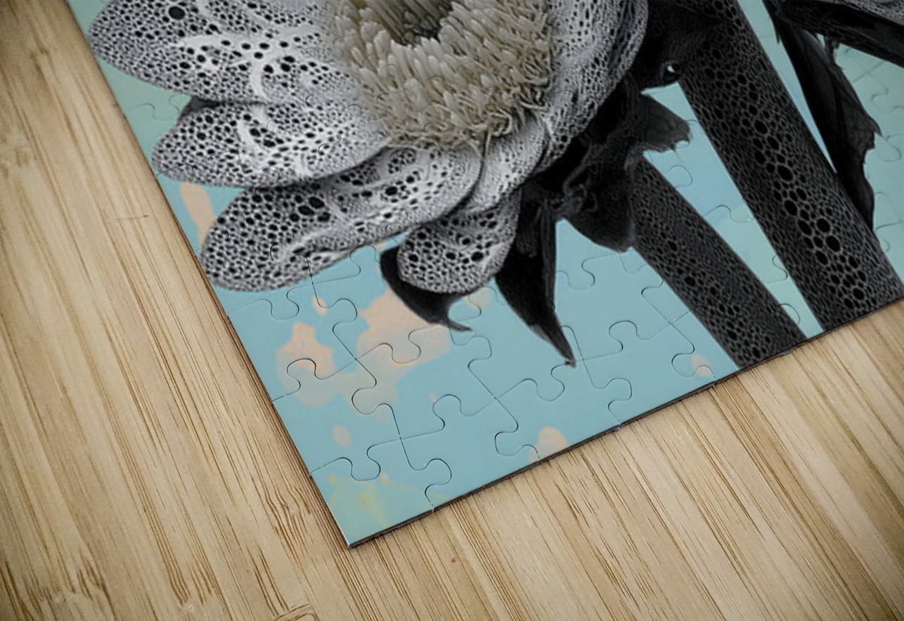 Lace Petal Trio – Modern Lotus Bloom Art Print Savage Art Prints Puzzle