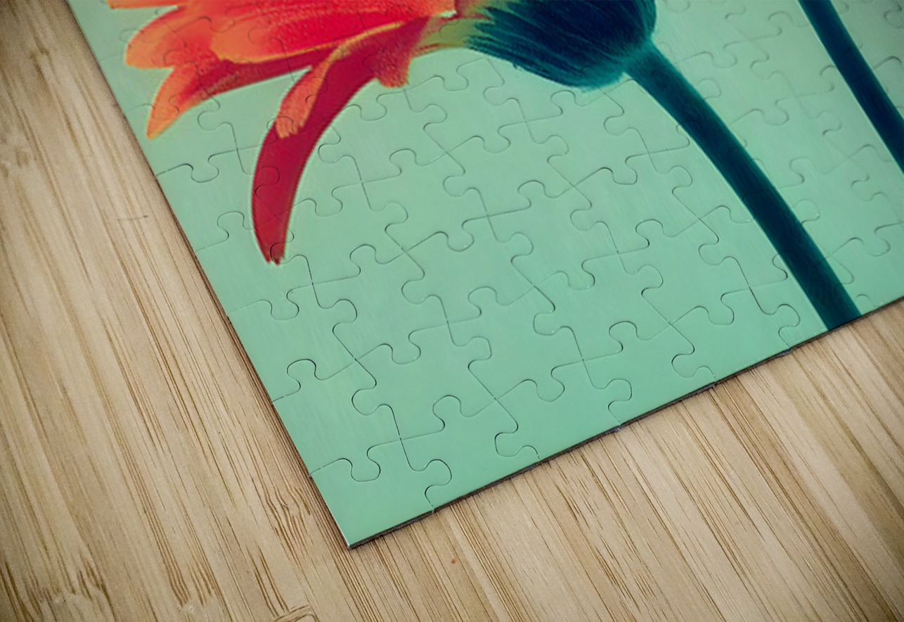 Sunlit Gerberas – Modern Botanical Art Print Savage Art Prints Puzzle