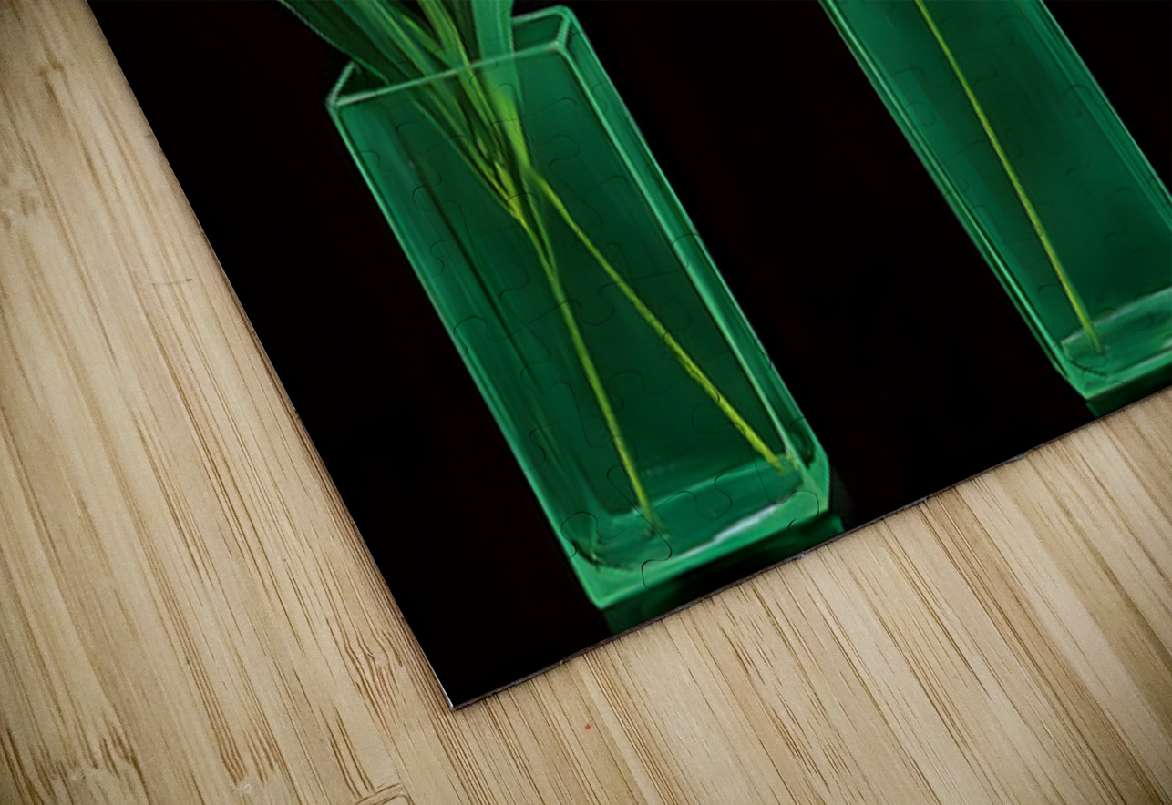 Neon Stems – Trio of Lilies on Black Print Savage Art Prints Puzzle