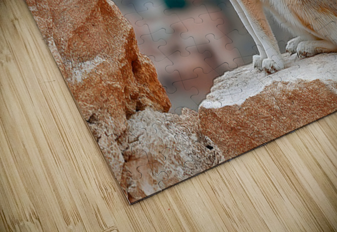 Sand Whisper – Fennec Fox Print Savage Art Prints Puzzle