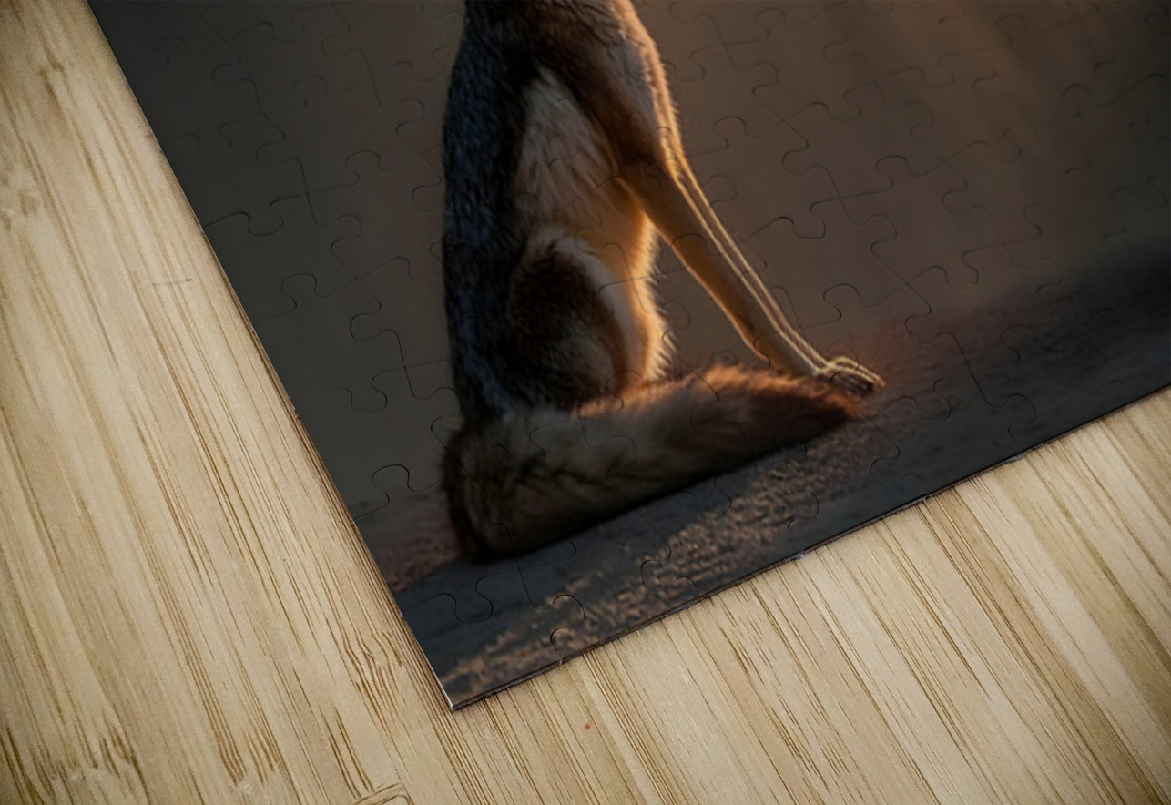 Breath of Dawn – Desert Fox Print Savage Art Prints Puzzle