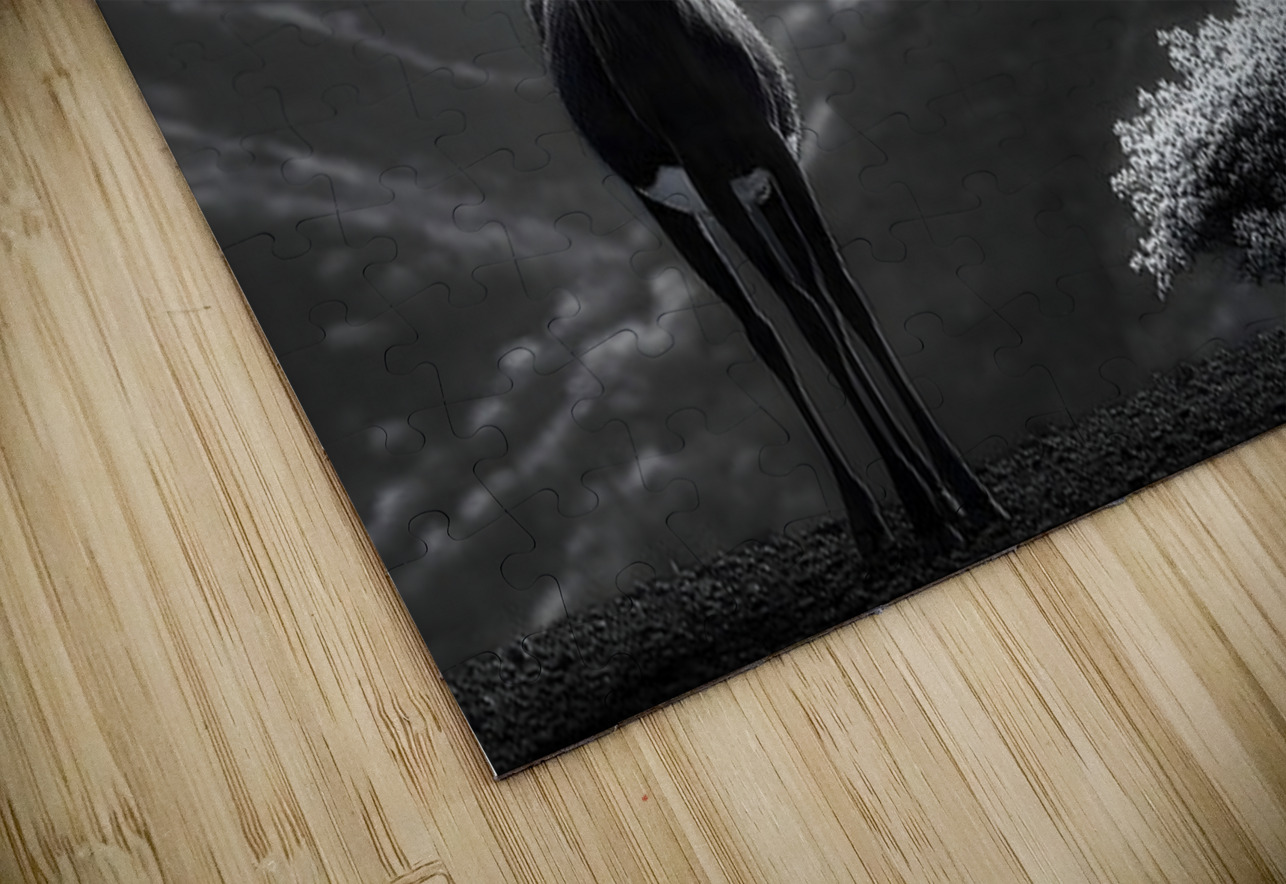 Silent Horn – Saola Print Savage Art Prints Puzzle