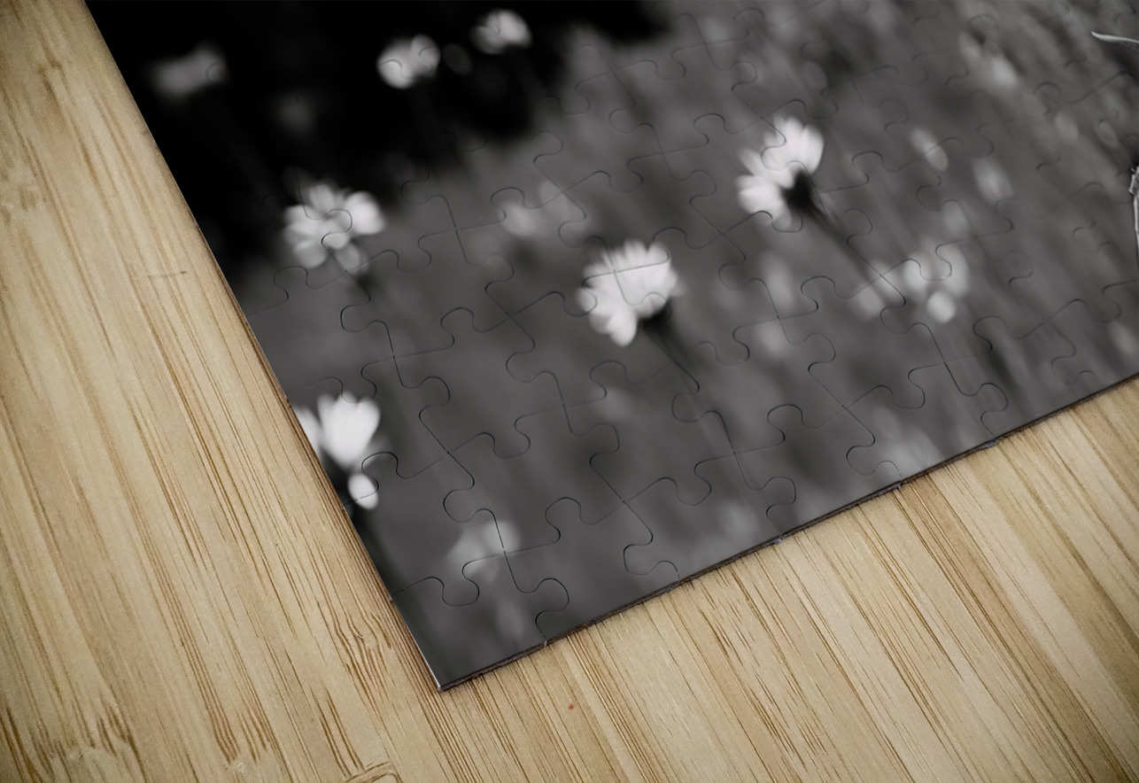 Wild Solitude – Orange Flower in Mountain Meadow Print Savage Art Prints Puzzle