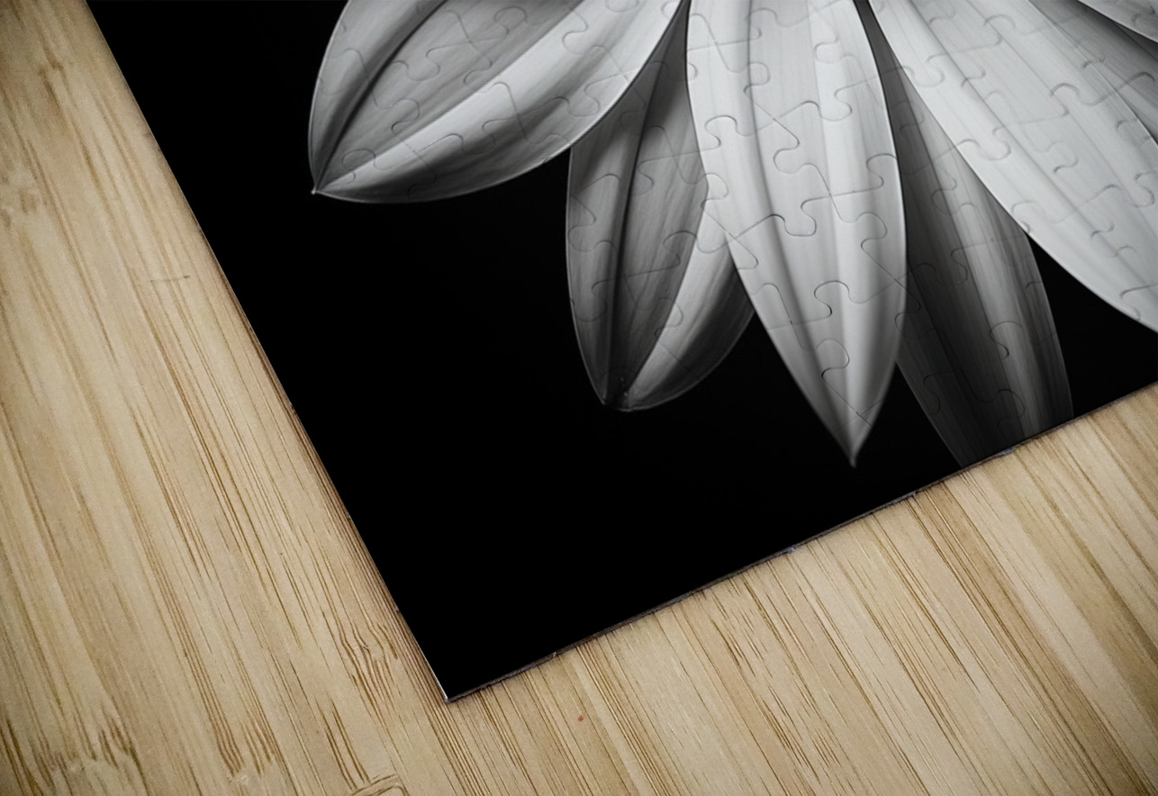 Echo in Silence – Monochrome Bloom Print Savage Art Prints Puzzle