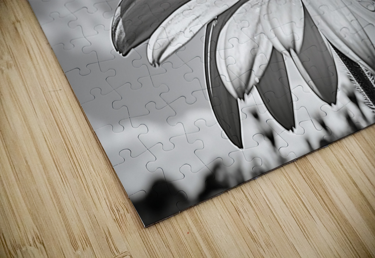 Sky Whisper – Monochrome Daisy Under Clouds Savage Art Prints Puzzle