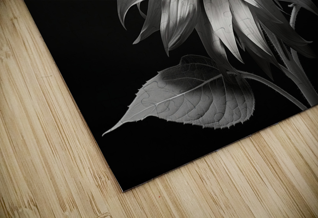 Obsidian Petals – Dark Botanical Fine Art Print Savage Art Prints Puzzle