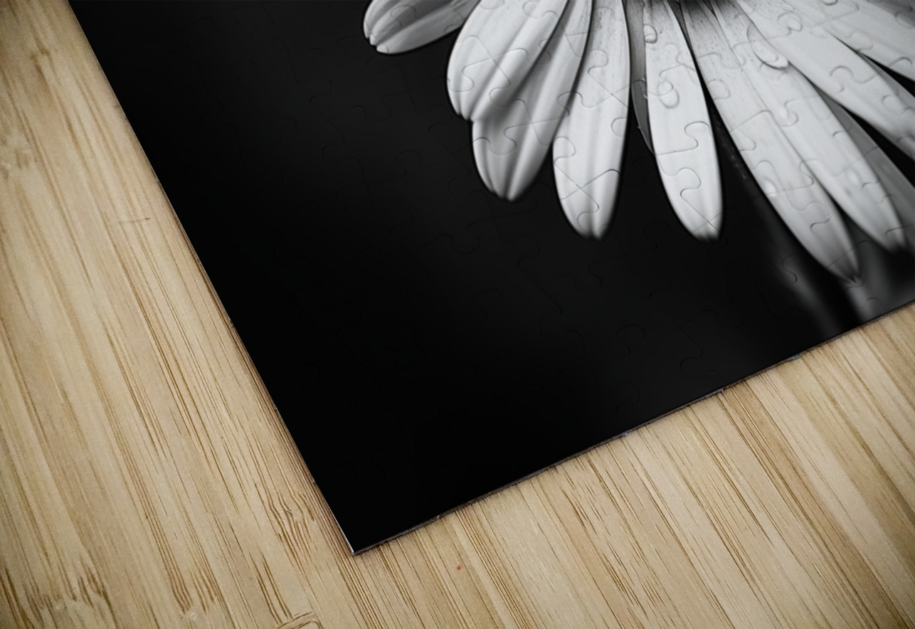 Monochrome Majesty – Sunflower in Black and White Print Savage Art Prints Puzzle