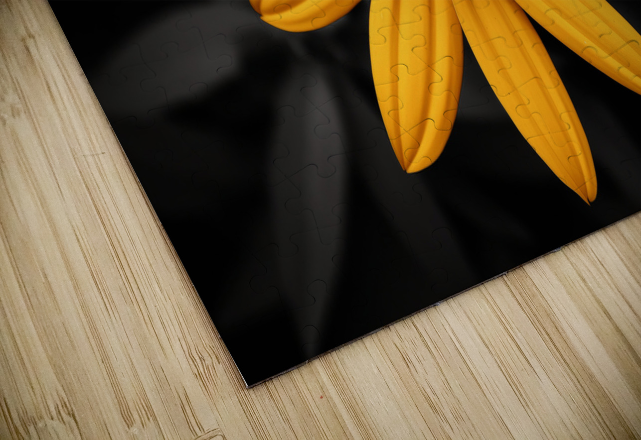 Lone Glow – Yellow Sunflower on Black Print Savage Art Prints Puzzle