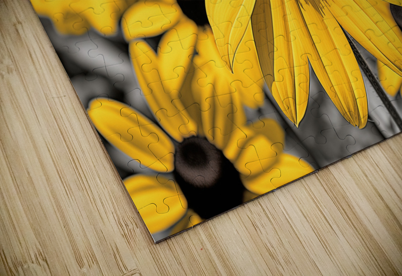 Radiant Reverie – Yellow Blossom Panorama Print Savage Art Prints Puzzle