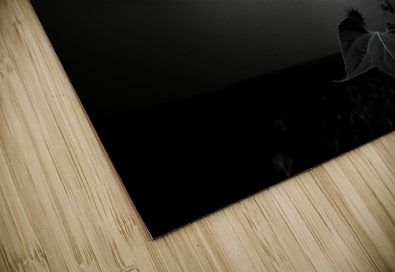 Hope in Bloom – Selective Color Sunflower Print Savage Art Prints Puzzle