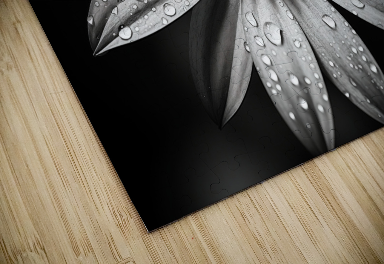 Shadow Petals – Monochrome Floral Elegance Print Savage Art Prints Puzzle