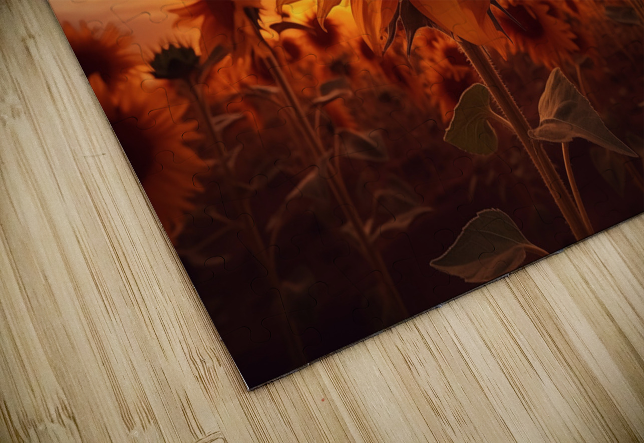 Blaze of Blooms – Dramatic Sunflower Sunset Print Savage Art Prints Puzzle