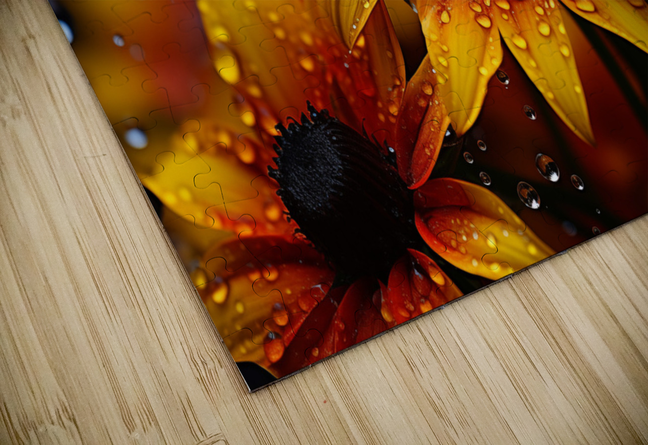 Morning Dew Daisies – Luminous Floral Art Print Savage Art Prints Puzzle