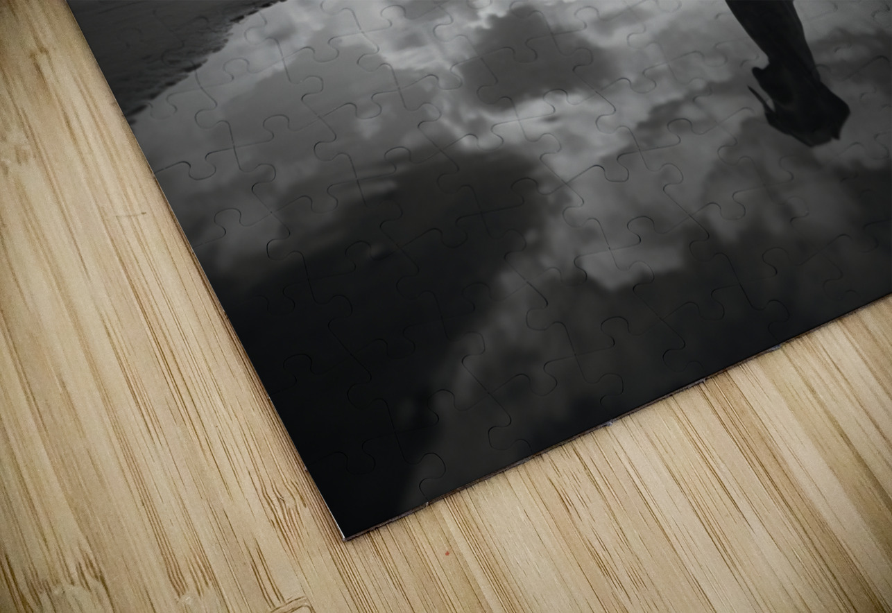 Lost in My Eyes – Monochrome Coastal Dog Photography Print Savage Art Prints Puzzle