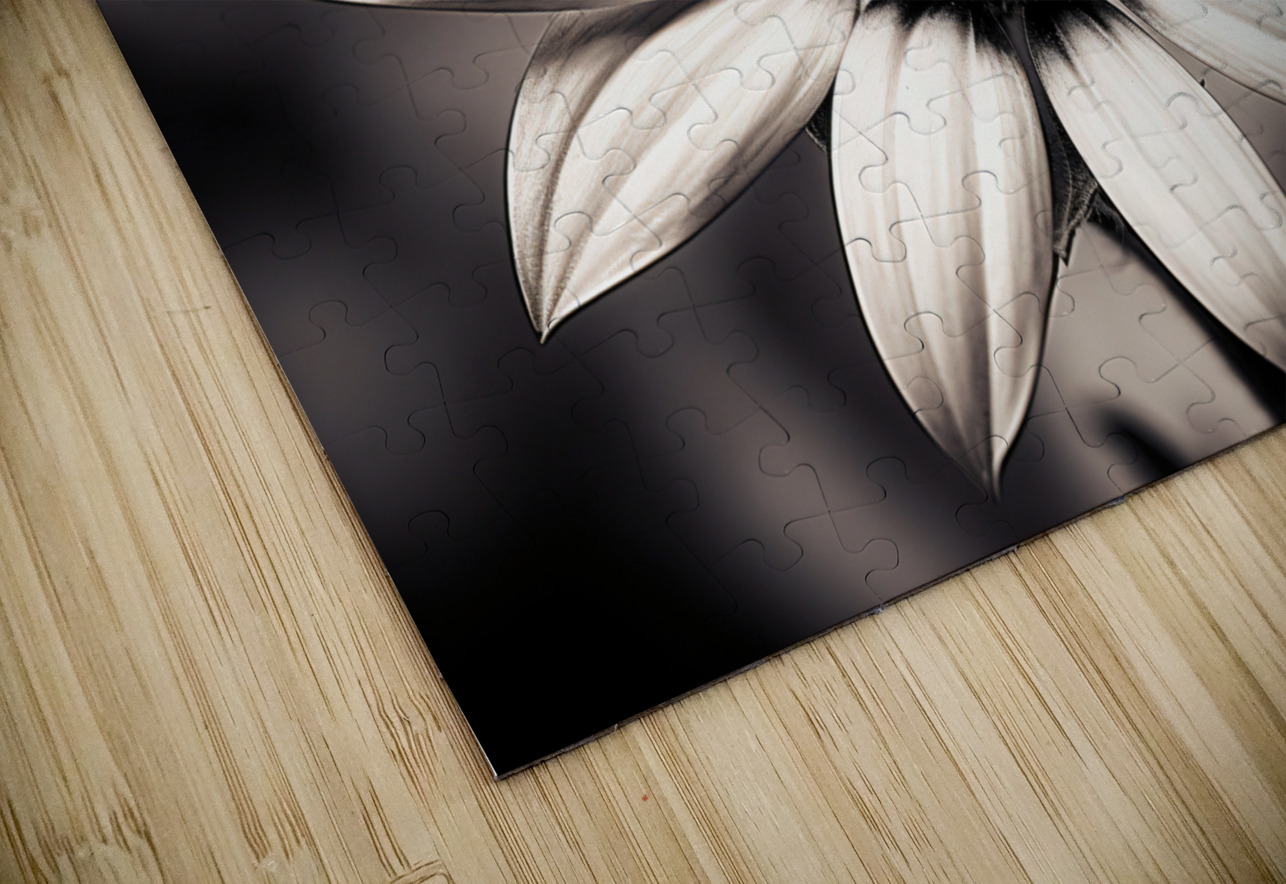 Opulent – Monochrome Daisy Medallion Art Print Savage Art Prints Puzzle