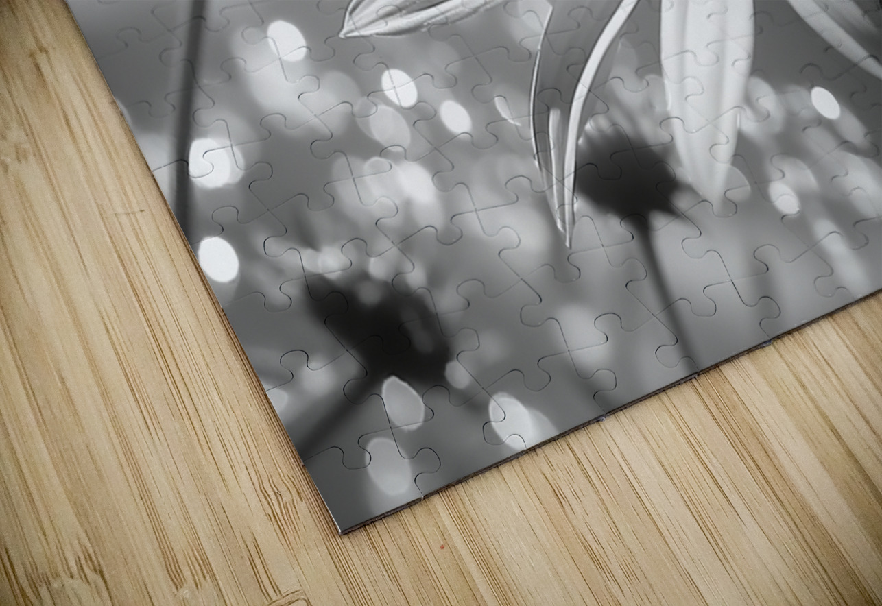 Whispers of the Sun – Minimal Daisy Art Print Savage Art Prints Puzzle