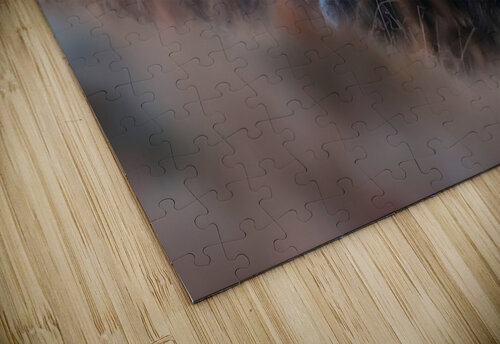 Alpine Titan – Grizzly Bear Print Savage Art Prints puzzle