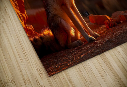 Dustwalker – Fennec Fox Print Savage Art Prints puzzle