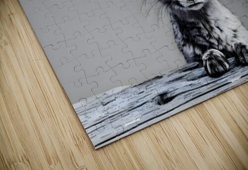 Loud and Clear – Fennec Fox Portrait Print Savage Art Prints puzzle