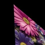 Silencio Floral - Floral Silence - Pop Surreal Floral Art Prints HD Metal print