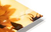Golden Haze – Radiant Sunflower Morning Print HD Metal print