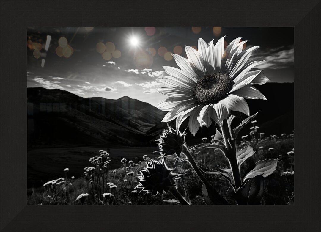 Impression de cadre personnalisé