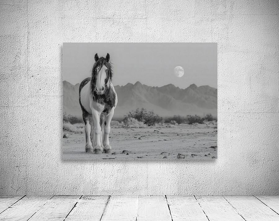 Born Of Dust And Light - Modern Abstract Art Prints Wall Preview