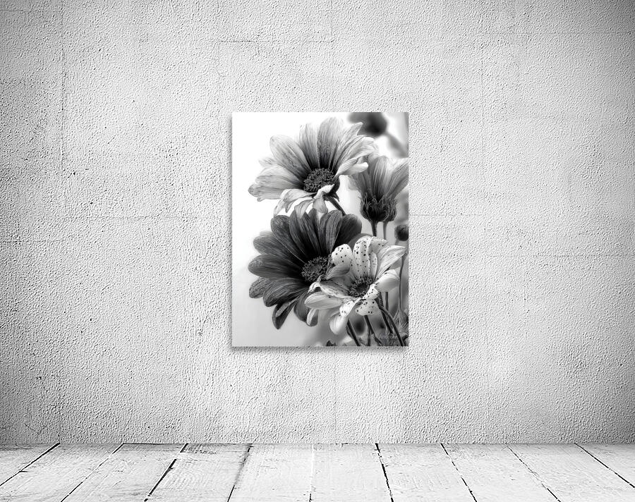 Sans Couleur - Without Color - Monochrome Floral Art Prints Wall Preview