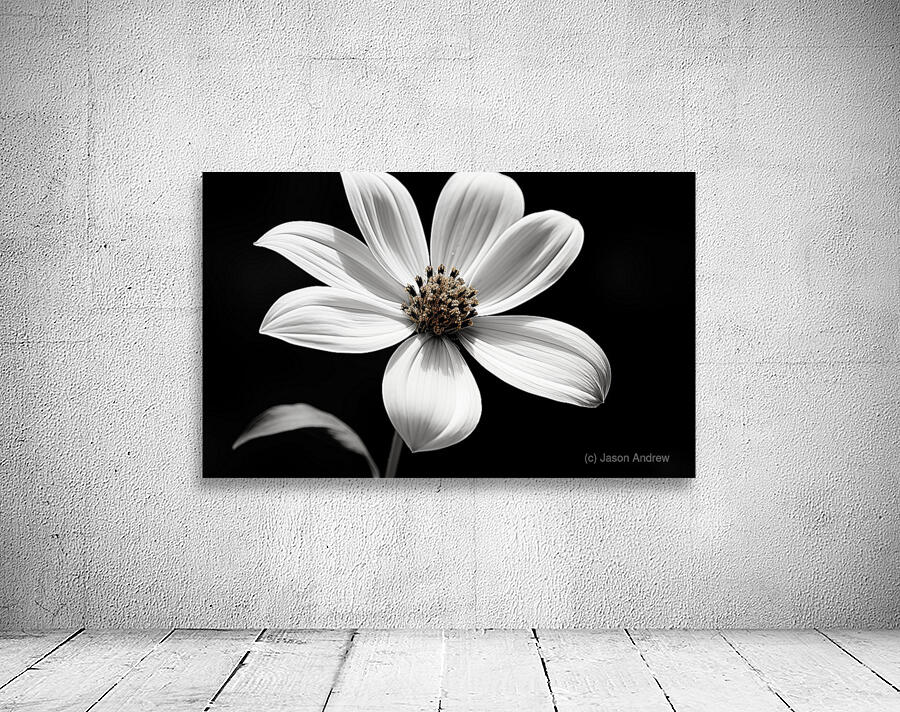Eclipse Petal – Black and White Macro Flower Print Wall Preview