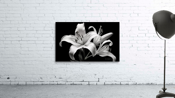 Golden Meadow by the Lake – Wildflower Panorama Print Wall Preview