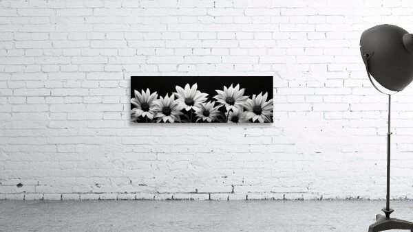 Garden Row – Sunflower Lineup Botanical Art Print Wall Preview