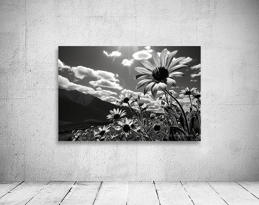 Bloomscape – Wide Field Floral Monochrome Art Print Wall Preview