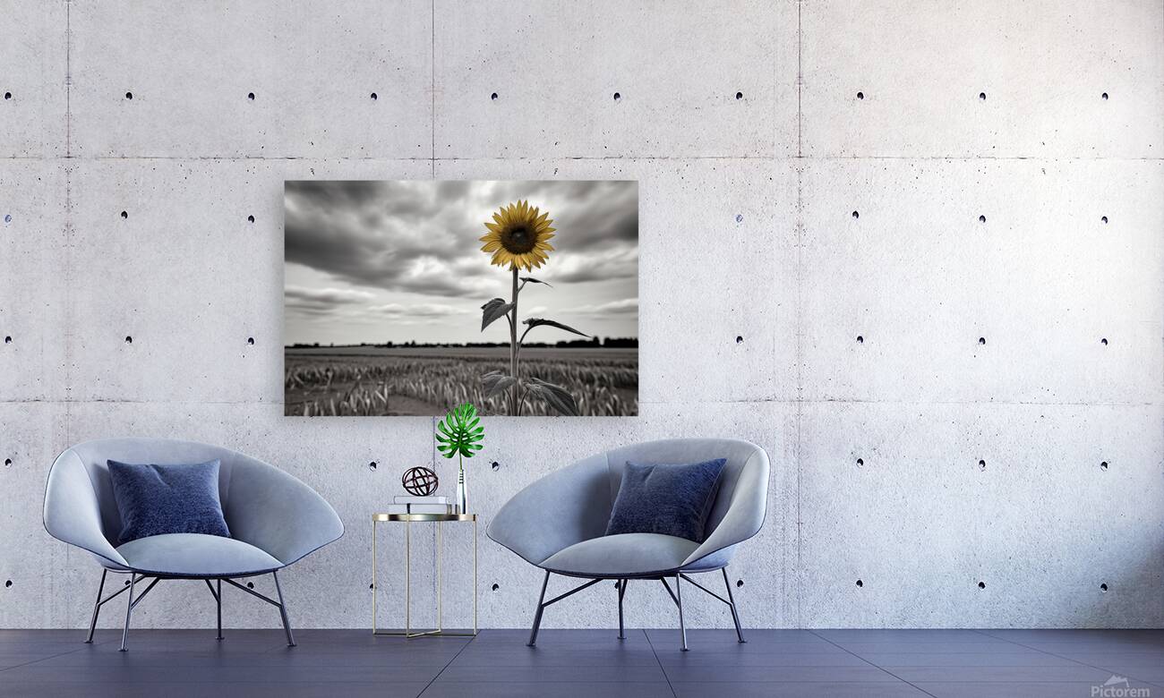 Hope In Contrast - Minimal Sunflower Art Prints Reproduction
