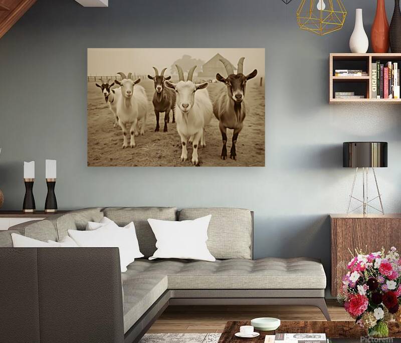 Curious Goats at the Fence – Farmhouse Animal Art Print Reproduction