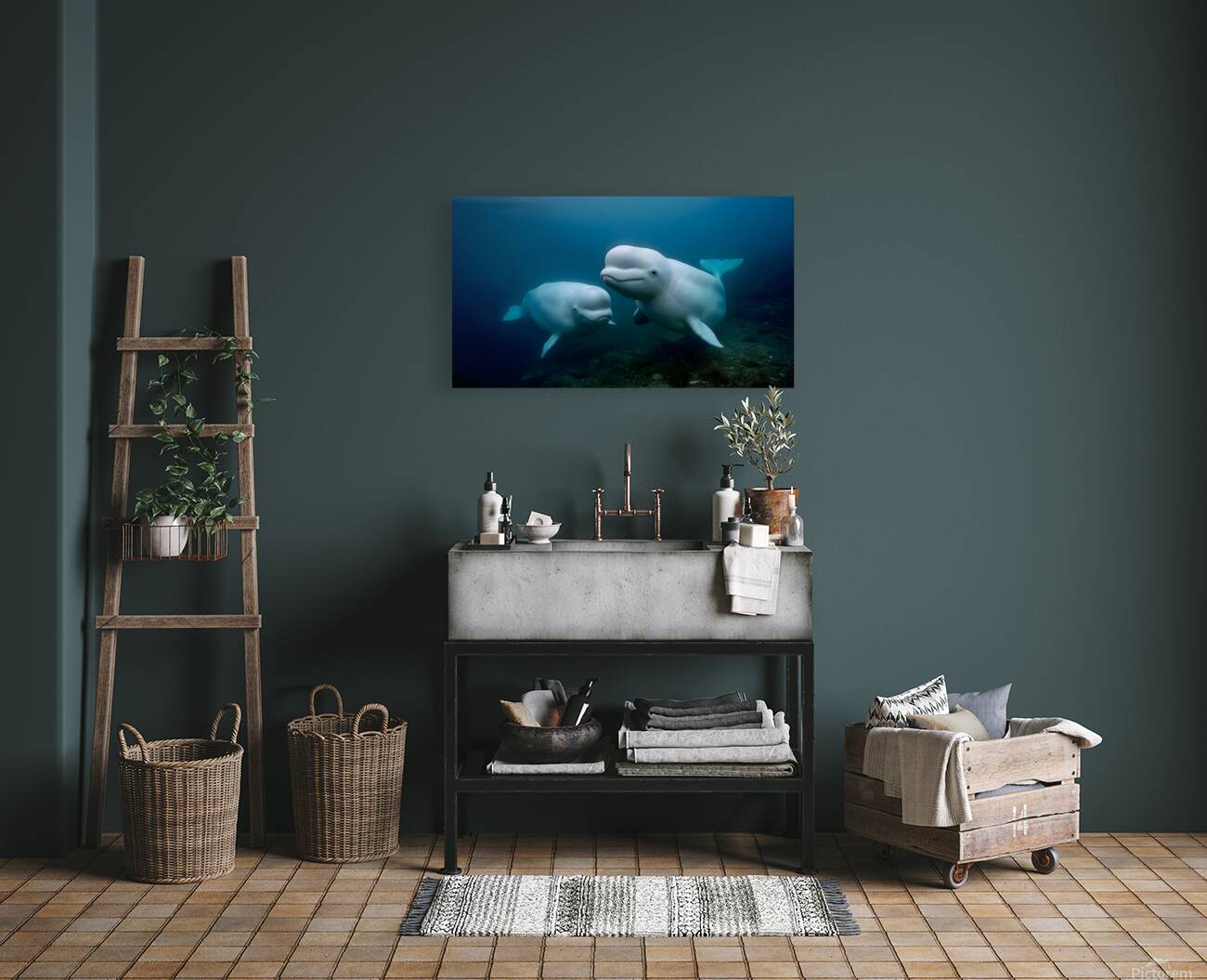 Blue Silence – Belugas in Still Water Print Reproduction