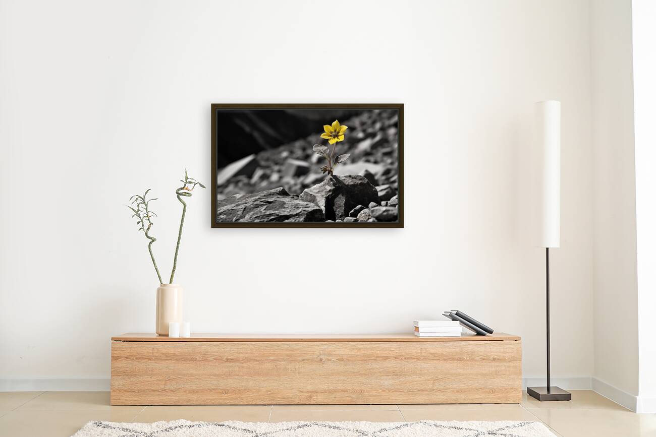 Resilient Heart – Yellow Flower Among Stones Print Reproduction