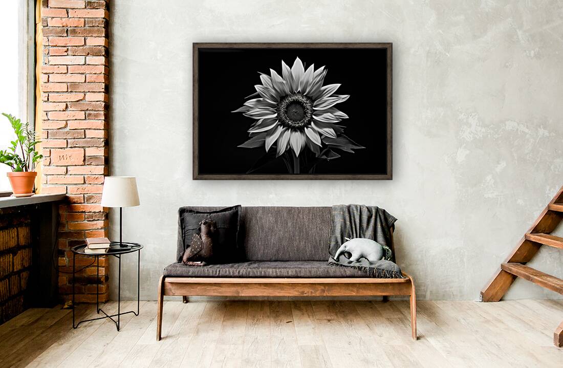 Stillness in Bloom – Monochrome Flower Reflection Print Reproduction