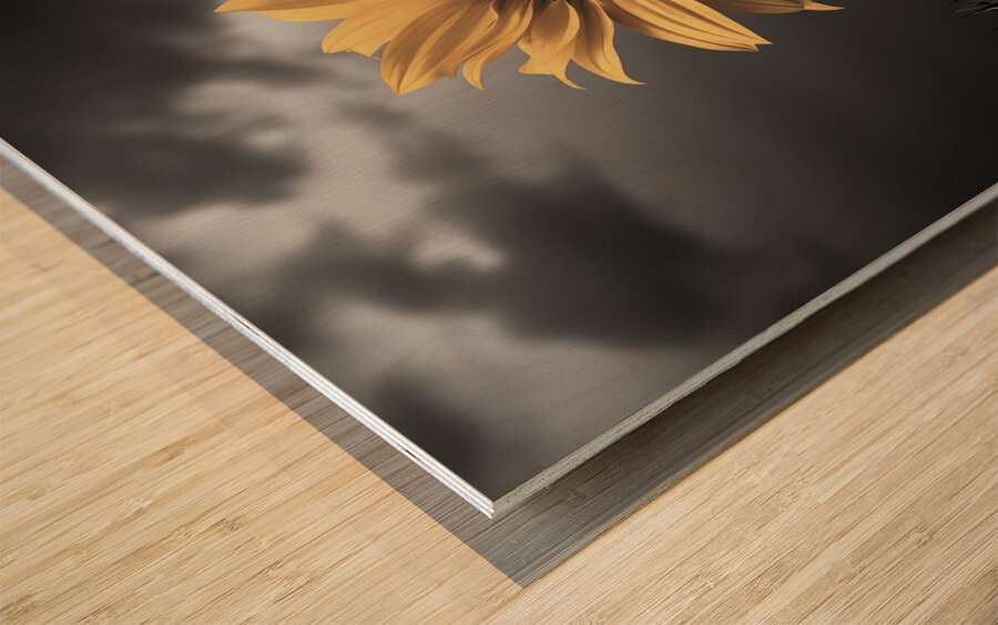 Helianthus Paradoxus - Sunflower Portrait Art Prints Wood print