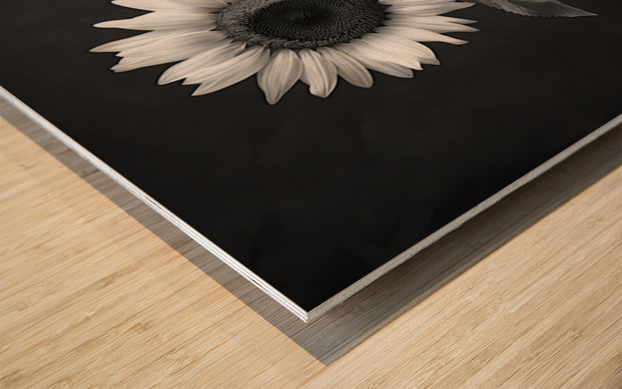 Sunflower Selfie 6 - Sunflower Portrait Art Prints Wood print