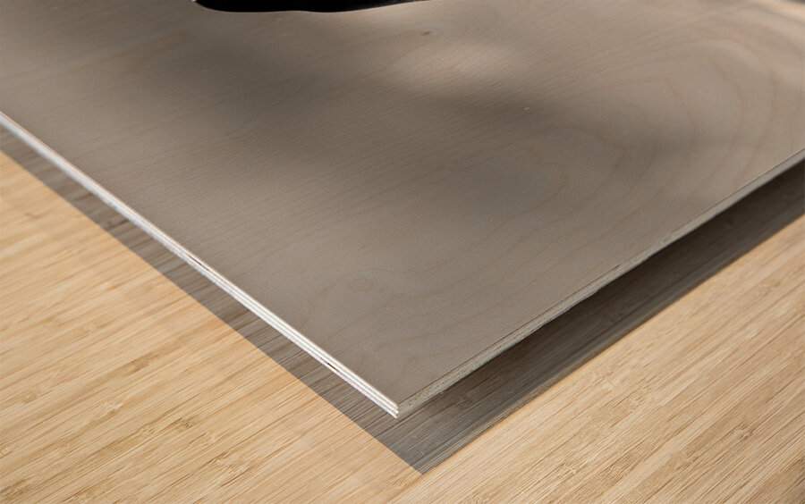 Under His Wings - Inspirational Monochrome Art Prints Wood print