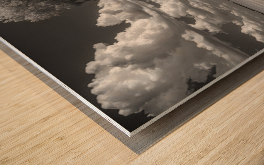 Prairie Road - Monochrome Landscape Art Prints Wood print