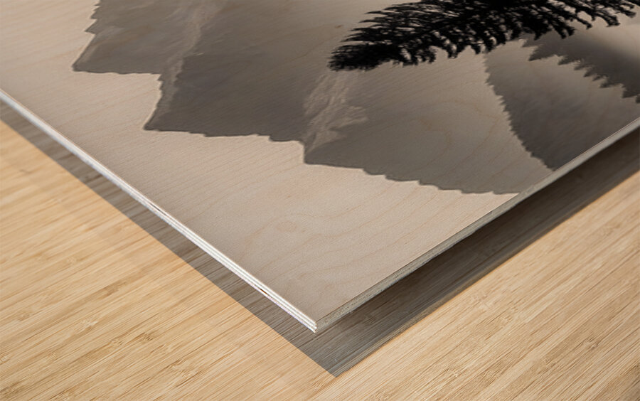 Morning Fog In The Valley - Monochrome Landscape Art Prints Wood print