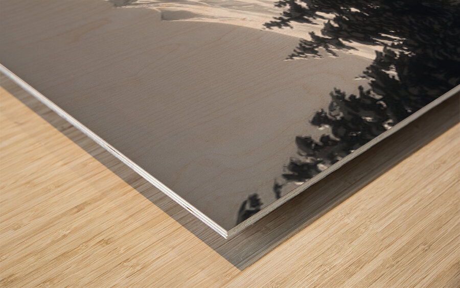 Winter In The Valley - Monochrome Landscape Art Prints Wood print